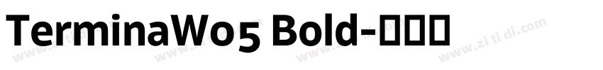 TerminaW05 Bold字体转换